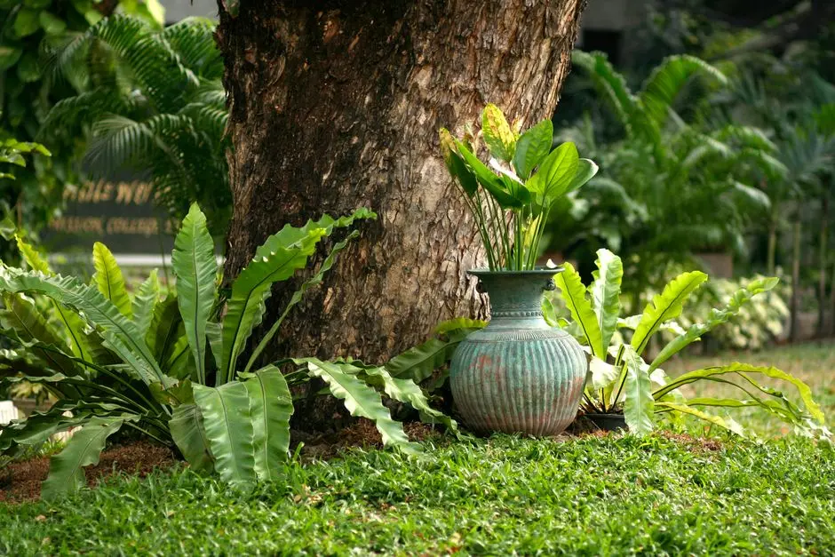 Greens & Outdoors at ABHEE CODENAME BALANCE, Whitefield Extension, Bangalore