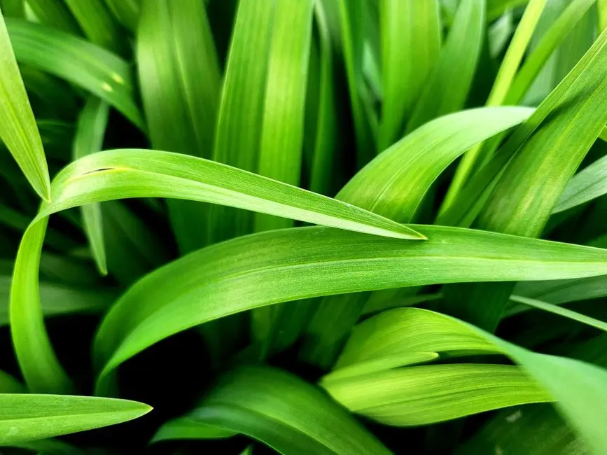 Greens & Outdoors at ABHEE RIVIERA ROYALE, Kudlu Gate, Bangalore